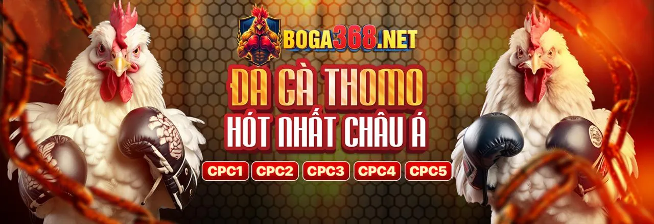 Đá Gà Trực Tuyến Hấp Dẫn tại kuwin02 nổ hũ